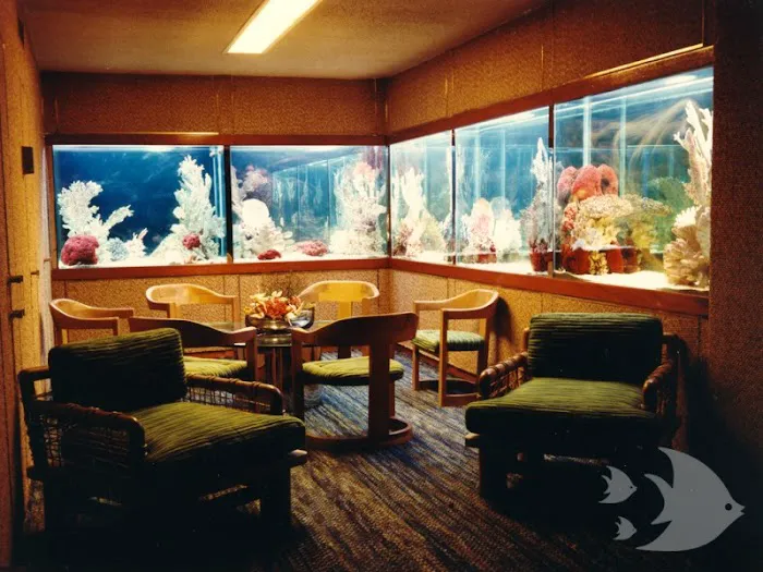 Aquarium Design International Picture 1