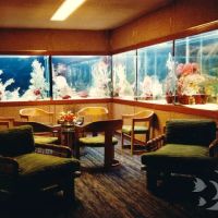 Aquarium Design International ico