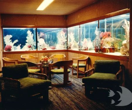 Aquarium Design International
