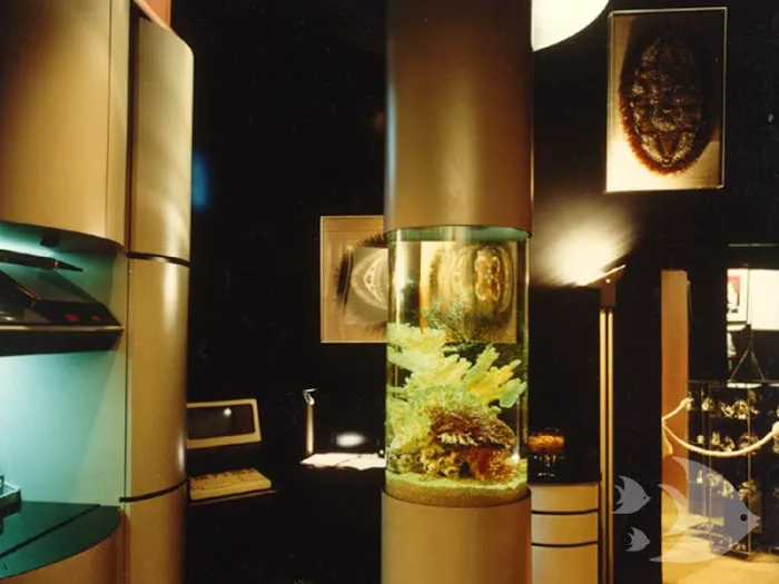 Aquarium Design International Picture 5