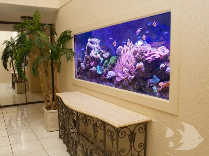 Aquarium Design International Picture 4