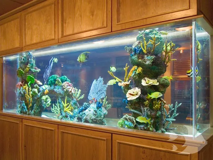 Aquarium Design International Picture 6