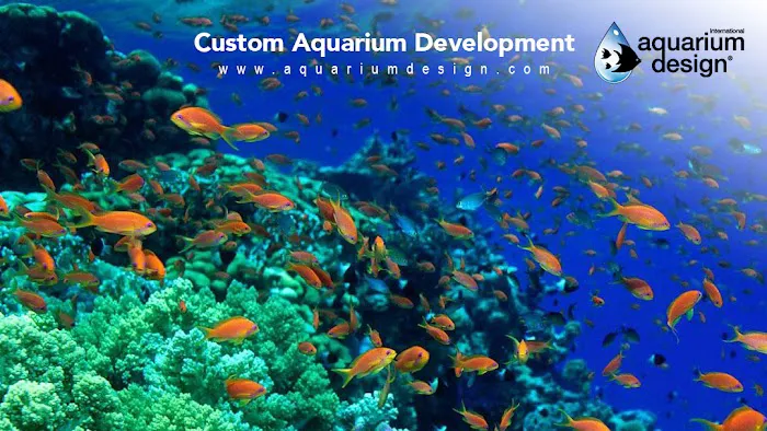Aquarium Design International Picture 7