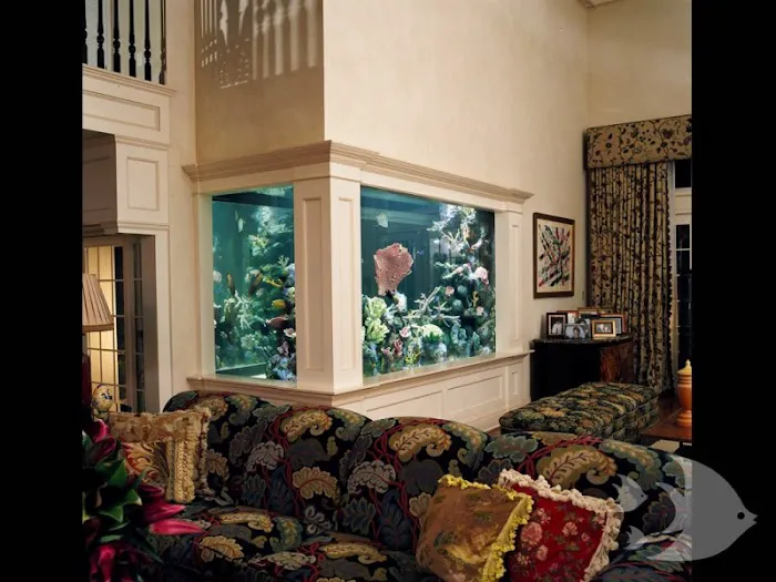 Aquarium Design International Picture 8