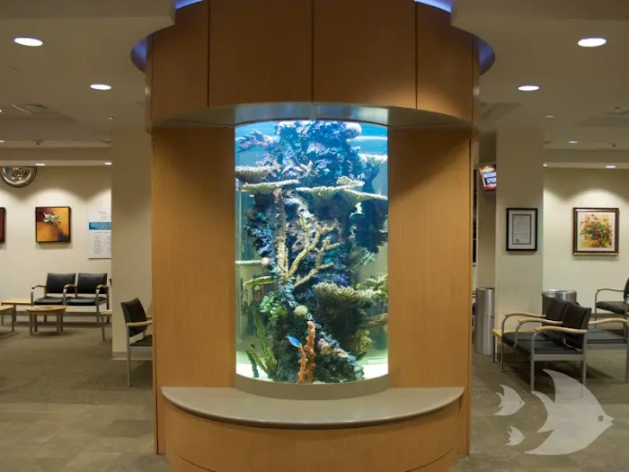 Aquarium Design International Picture 10