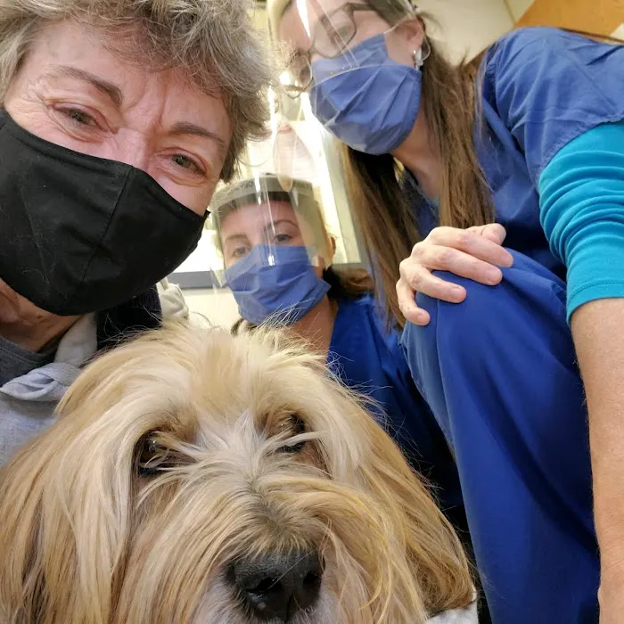 Veterinary Clinical Trials Network Picture 1