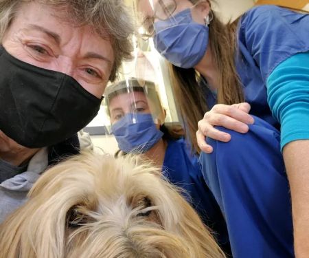 Veterinary Clinical Trials Network
