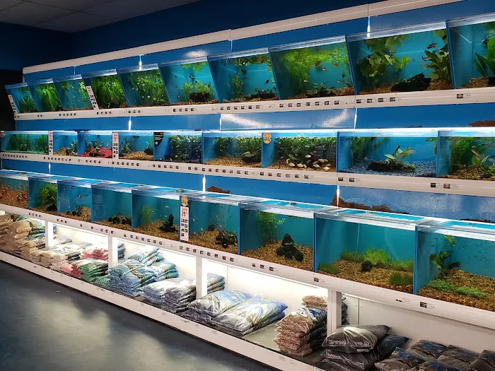 Pet Supermarket Picture 3