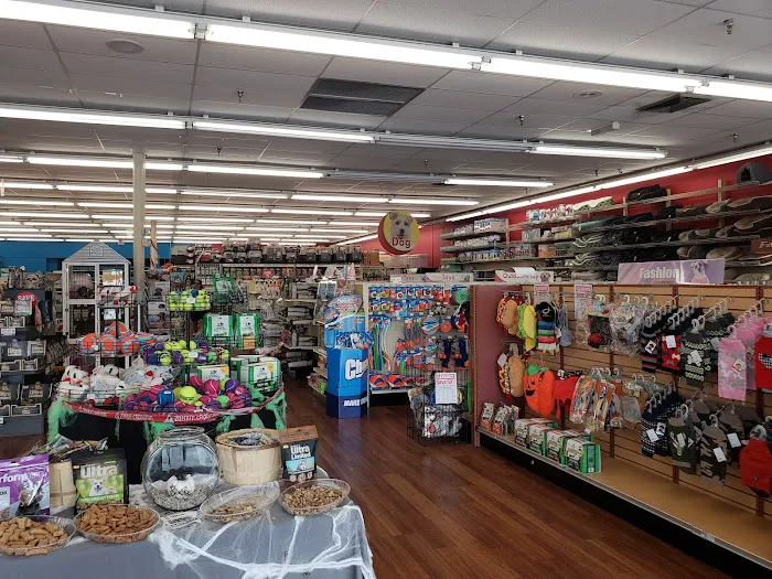 Pet Supermarket Picture 5