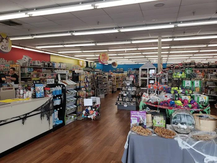 Pet Supermarket Picture 7