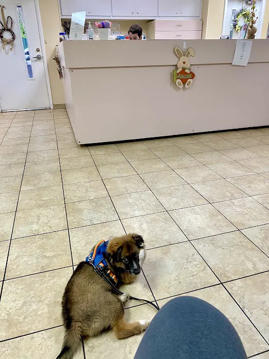 Westview Animal Hospital Picture 5