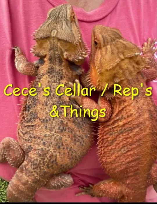Cece's Cellar Picture 7