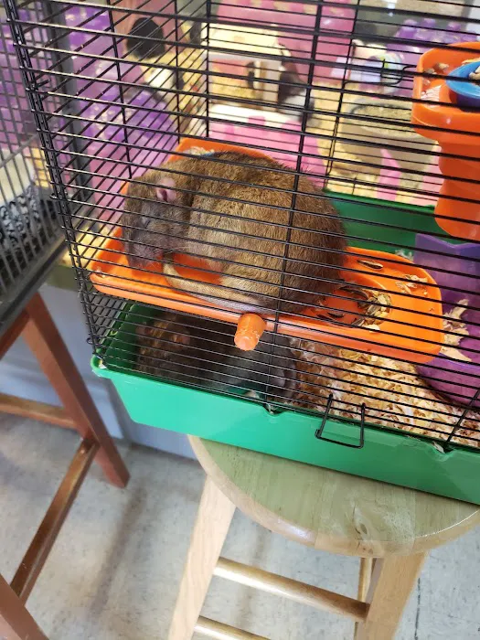 Wild Cargo Pets Inc Picture 7
