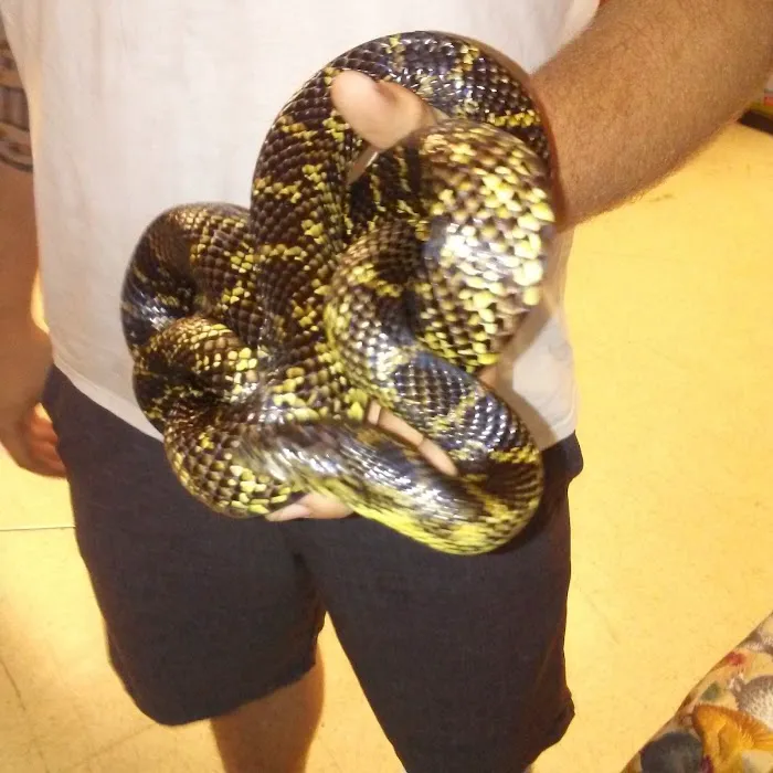 Wild Cargo Pets Inc Picture 10