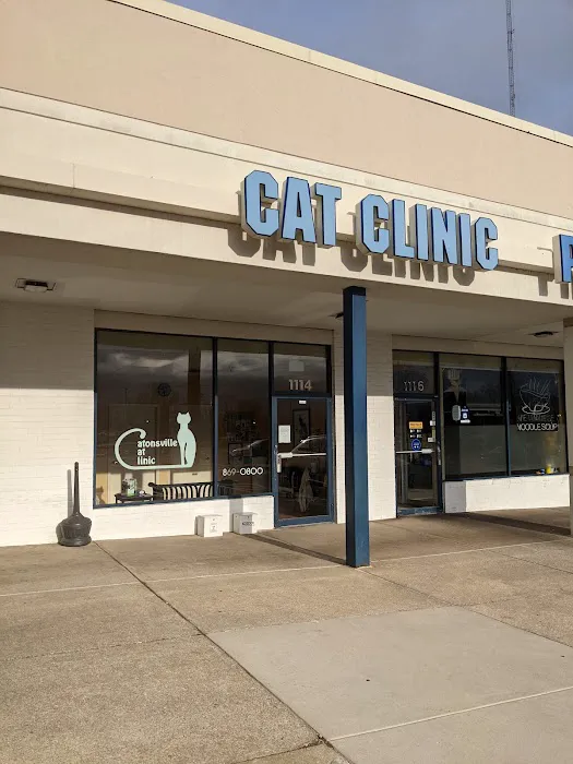 Catonsville Cat Clinic Picture 9