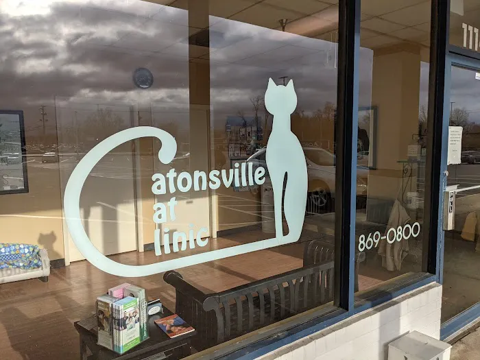 Catonsville Cat Clinic Picture 10