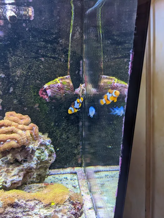 Coral Sea Aquariums Picture 3