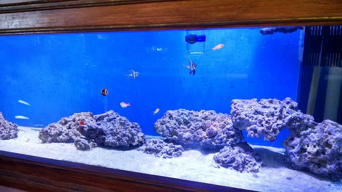 Coral Sea Aquariums Picture 4