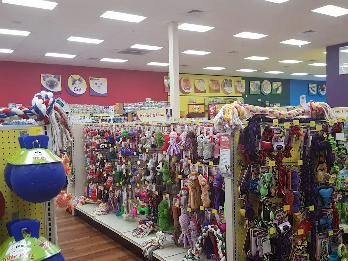 Pet Supermarket Picture 3
