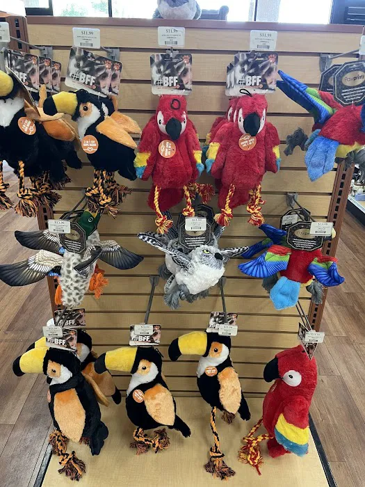 Pet Supermarket Picture 2