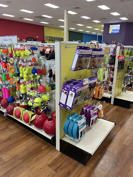 Pet Supermarket Picture 5