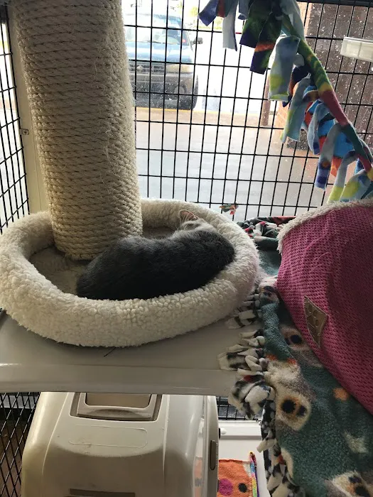 Pet Supermarket Picture 4
