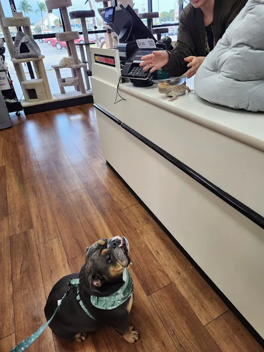 Pet Supermarket Picture 6