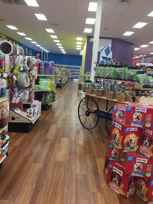 Pet Supermarket Picture 10