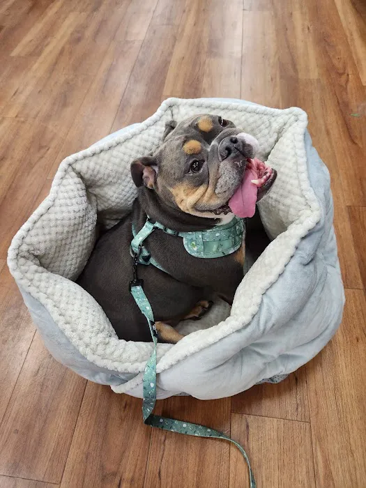 Pet Supermarket Picture 8