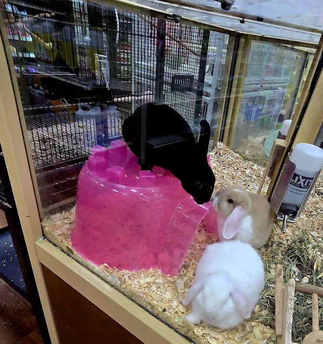 Pet Supermarket Picture 9