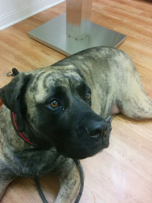 Frederick Road Veterinary Hospital Picture 6