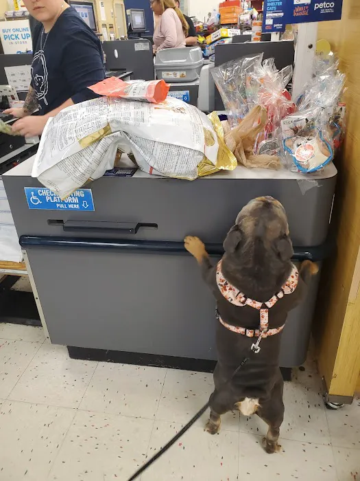 Petco Picture 1