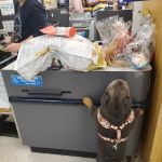 Petco