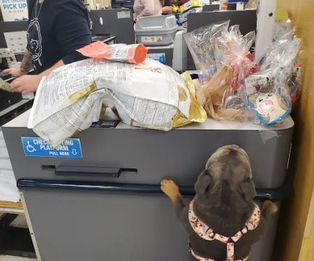 Petco