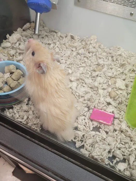 Petco Picture 6
