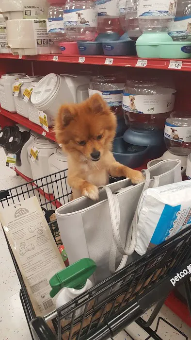 Petco Picture 8