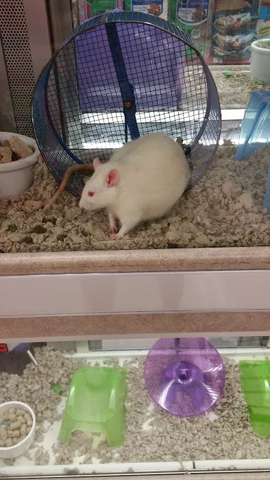 Petco Picture 10
