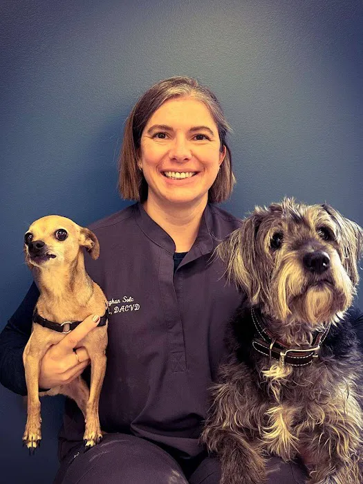 Dermatology for Animals - Catonsville Picture 1