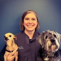 Dermatology for Animals - Catonsville ico