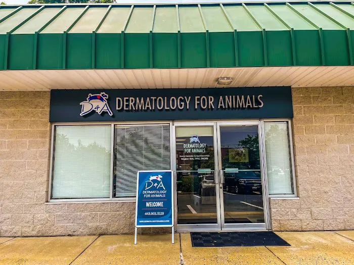 Dermatology for Animals - Catonsville Picture 6