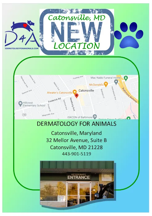 Dermatology for Animals - Catonsville Picture 9