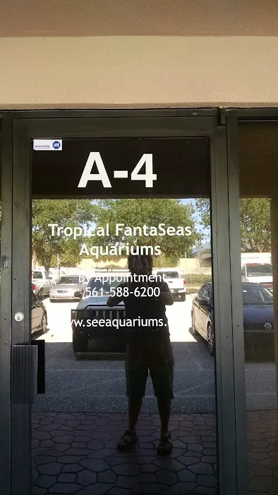 Tropical FantaSeas Aquariums Picture 2