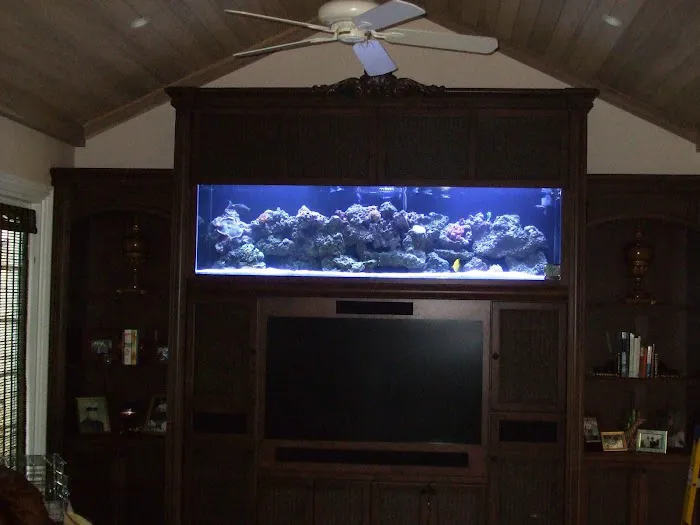 Tropical FantaSeas Aquariums Picture 7