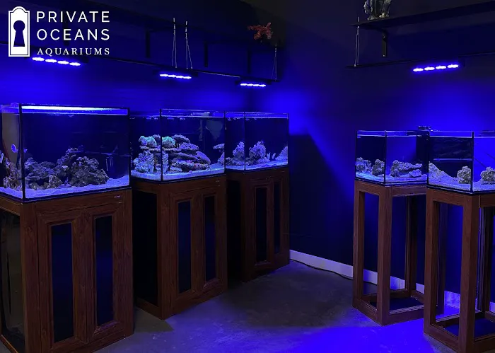 Private Oceans Aquariums Picture 1