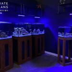 Private Oceans Aquariums