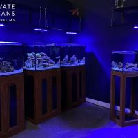 Private Oceans Aquariums ico