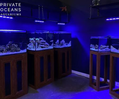 Private Oceans Aquariums