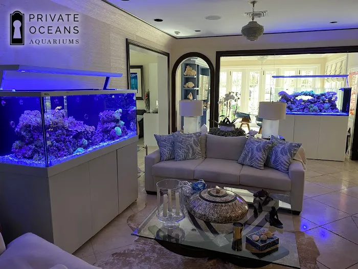 Private Oceans Aquariums Picture 2