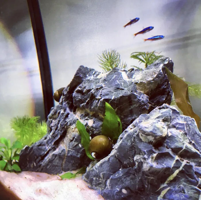 Private Oceans Aquariums Picture 5