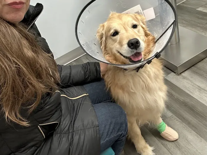 Thrive Pet Healthcare - Catonsville Picture 1